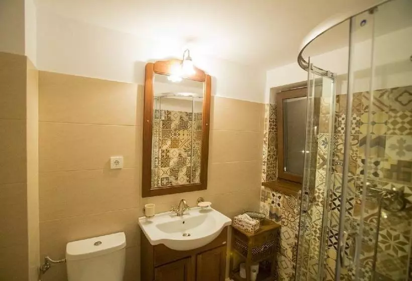 Aamiaismajoitus (B&B) Hanul Banului