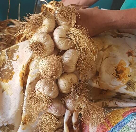 צימר Sole Mare Sale