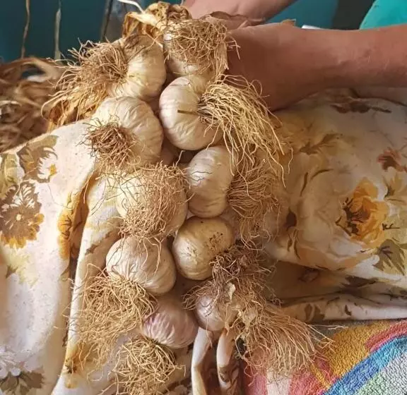 Aamiaismajoitus (B&B) Sole Mare Sale