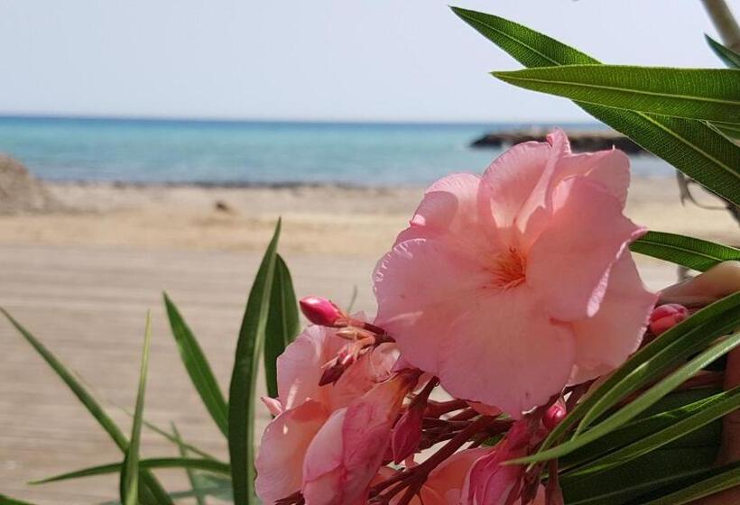 צימר Sole Mare Sale