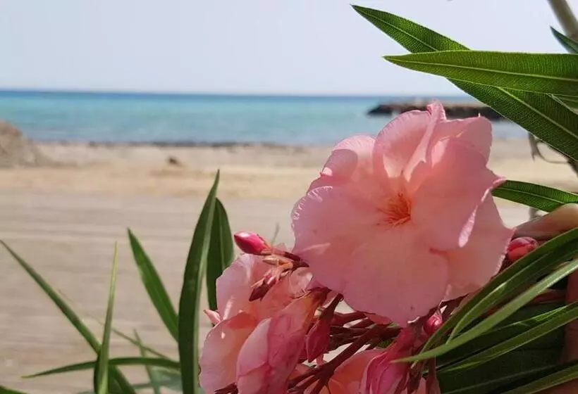 Aamiaismajoitus (B&B) Sole Mare Sale