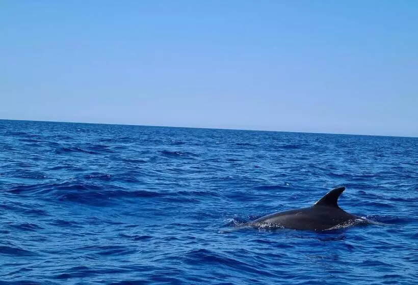 Aamiaismajoitus (B&B) Sole Mare Sale