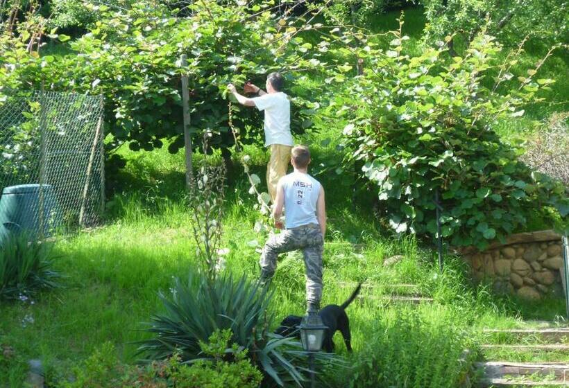 בית מלון כפרי Agriturismo Oro Di Berta