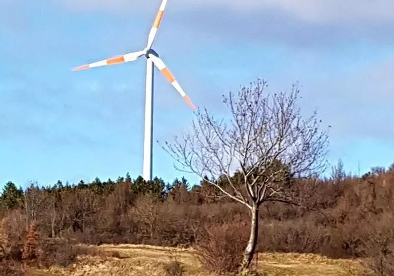 Hotelli Albergo Ristorante Poli