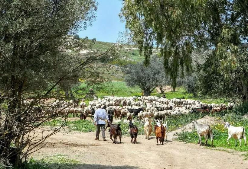 Maaseutuhotelli Tzionis Holidays Stonehouse