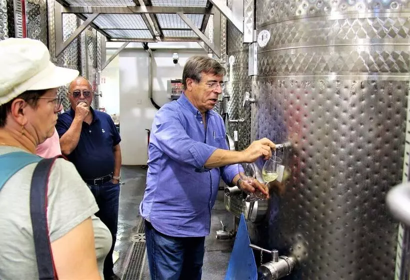 Maaseutuhotelli Tzionis Holidays Stonehouse