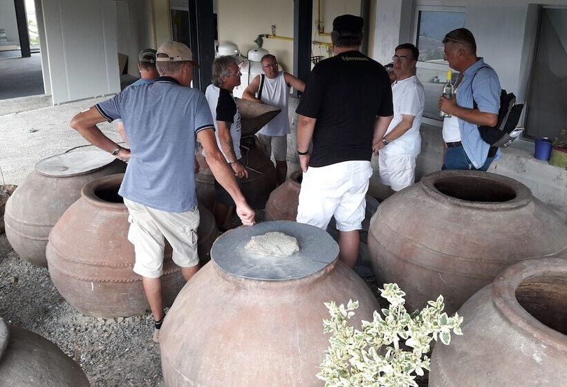 교외 호텔 Tzionis Holidays Stonehouse