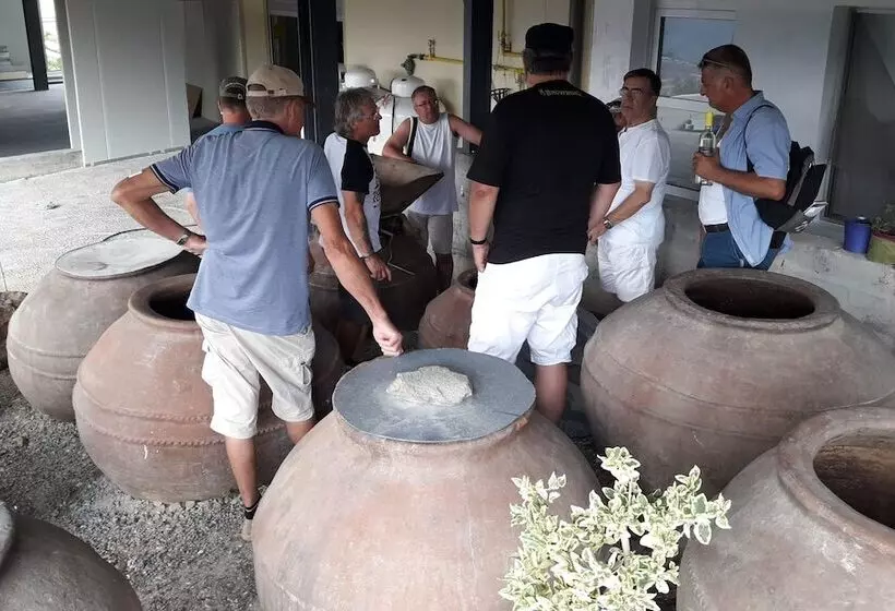 Maaseutuhotelli Tzionis Holidays Stonehouse