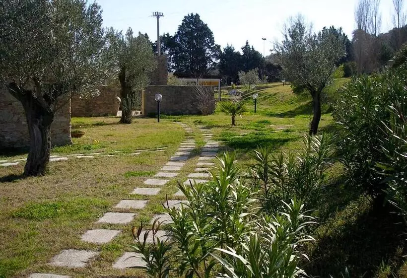 Il Pero Selvatico