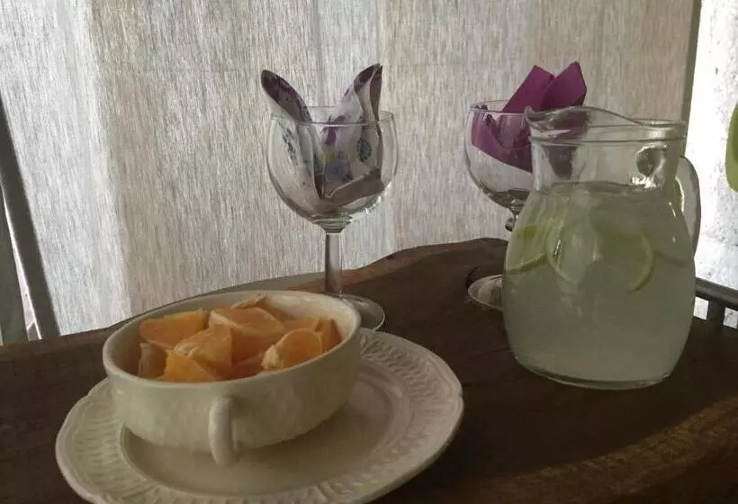 Le Mas Des Papillons Chambre D Hôtes B&b