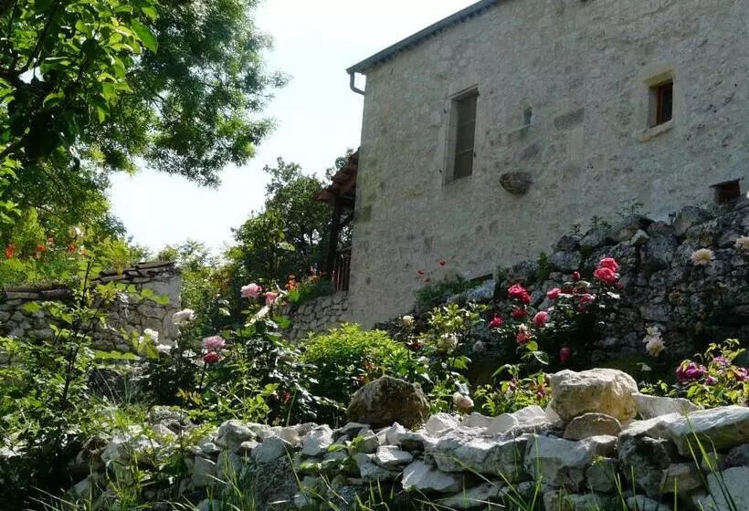 Le Mas Des Papillons Chambre D Hôtes B&b