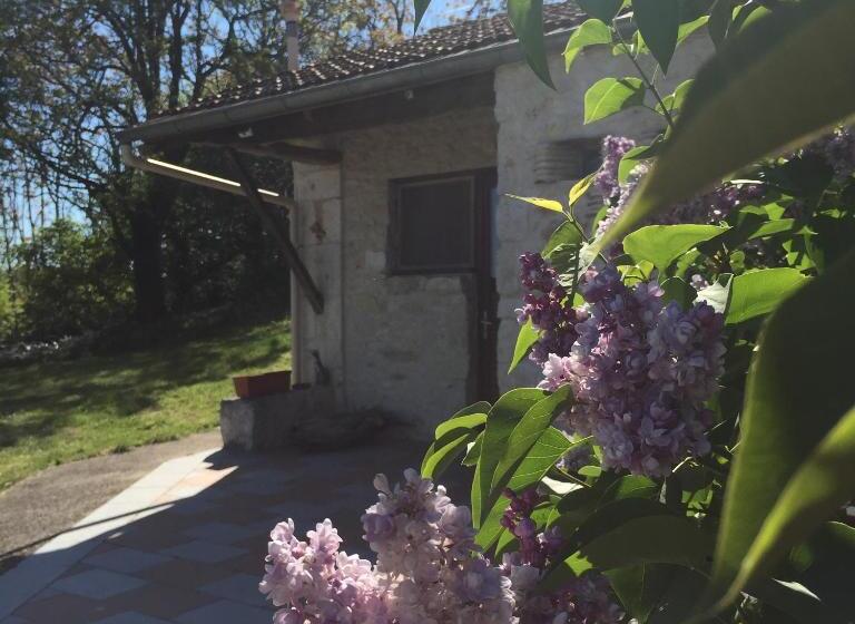 Le Mas Des Papillons Chambre D Hôtes B&b