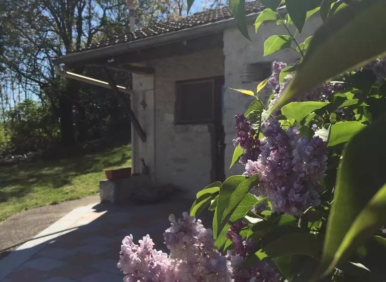 Le Mas Des Papillons Chambre D Hôtes B&b