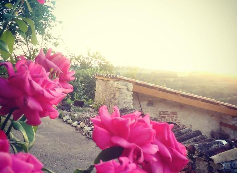 Le Mas Des Papillons Chambre D Hôtes B&b