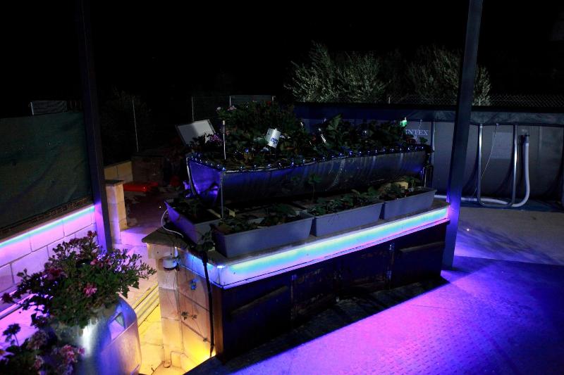 بنسيون George's Villa