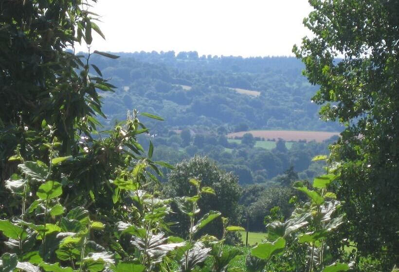 بنسيون Le Petit Clos
