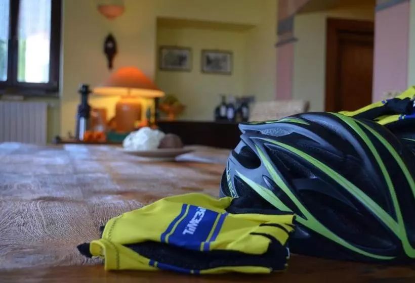 Bed And Breakfast Bike