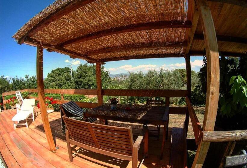 Bed And Breakfast Bike