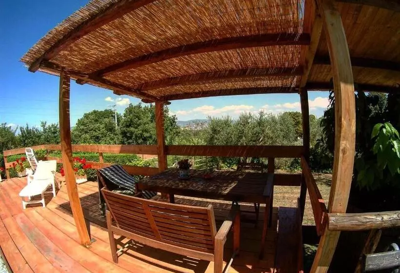 Bed And Breakfast Bike