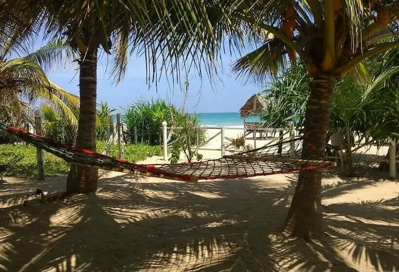 Antheia Beach Resort