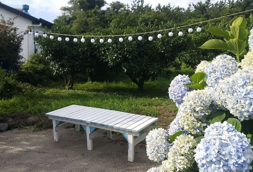 ホテル Jejumermuri