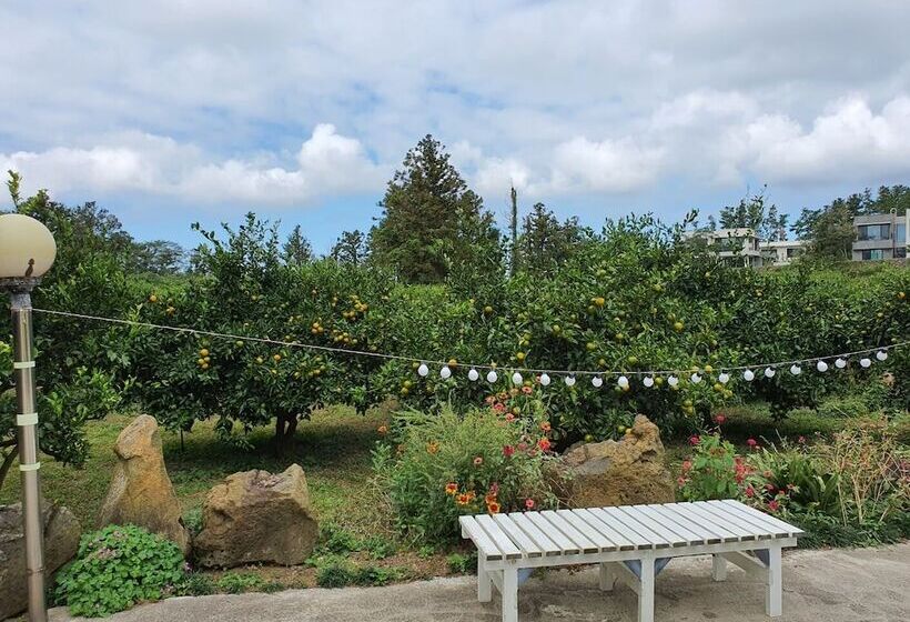 ホテル Jejumermuri