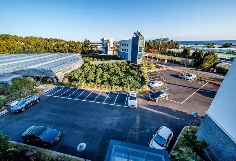 هتل Rejina Pension