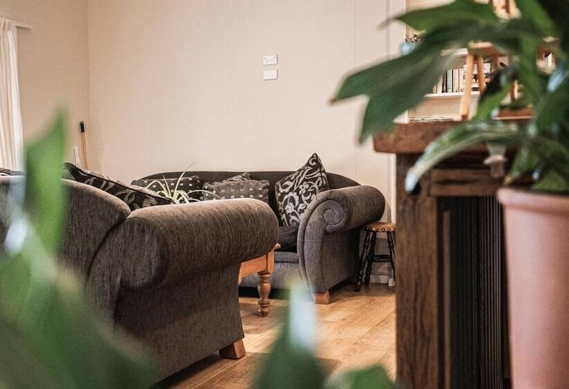 בית מלון כפרי Oasis Yurt Lodge