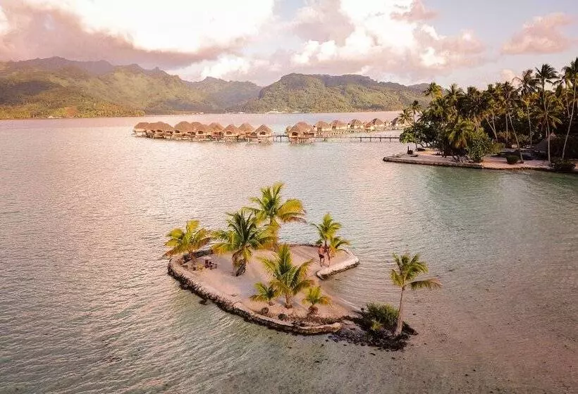 هتل Le Taha A By Pearl Resorts