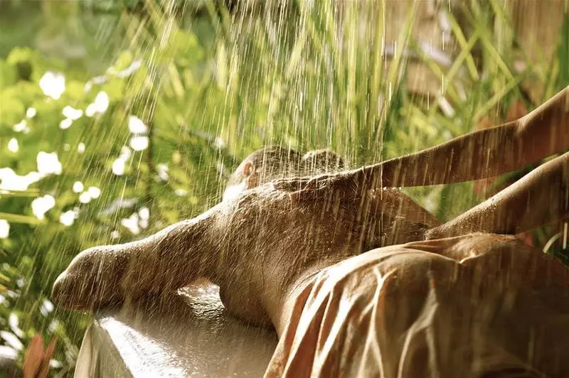 هتل Le Taha A By Pearl Resorts