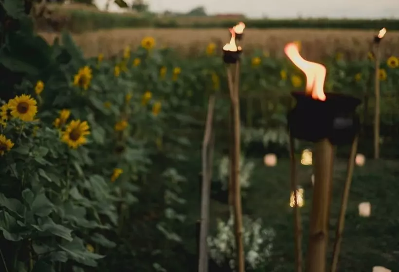 Hotel Tanah Gajah, A Resort By Hadiprana