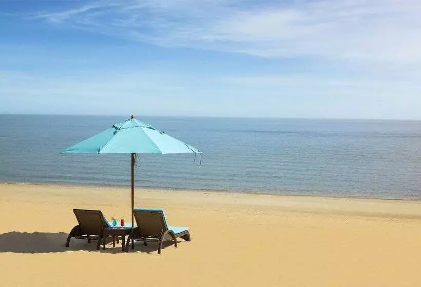 The Palms Beach Hotel And Spa