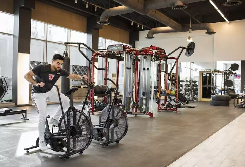 The Palms Beach Hotel And Spa