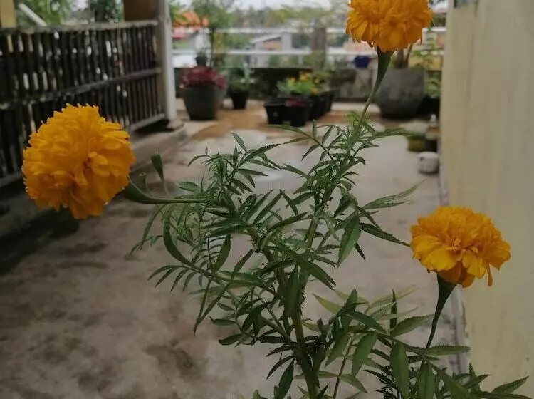 Hotelli Sithila Villa