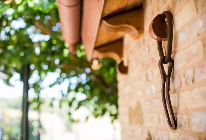 B&b Il Cavallino