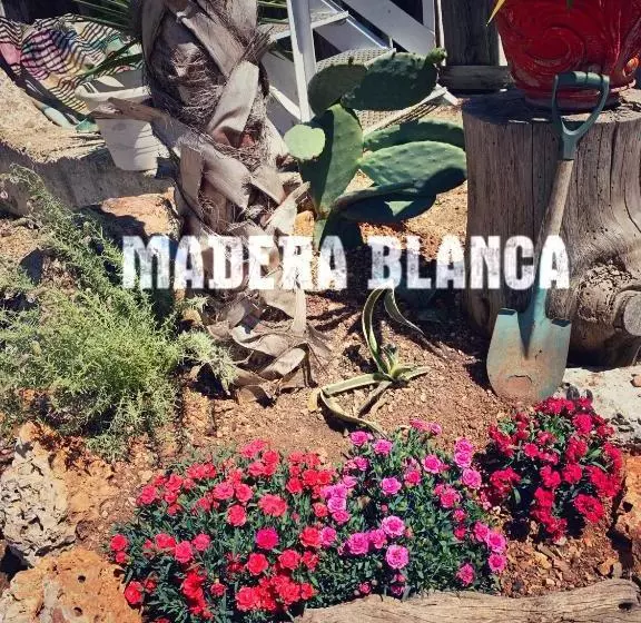 ベッドアンドブレックファースト Madera Blanca