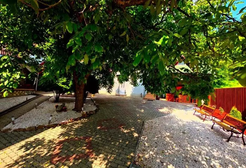 Aamiaismajoitus (B&B) Zöld Sziget Wellness