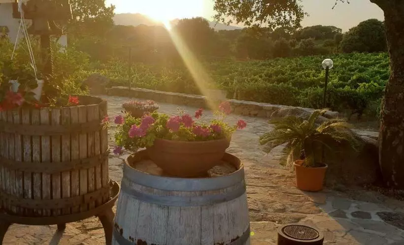 هتل Agriturismo Vermentino
