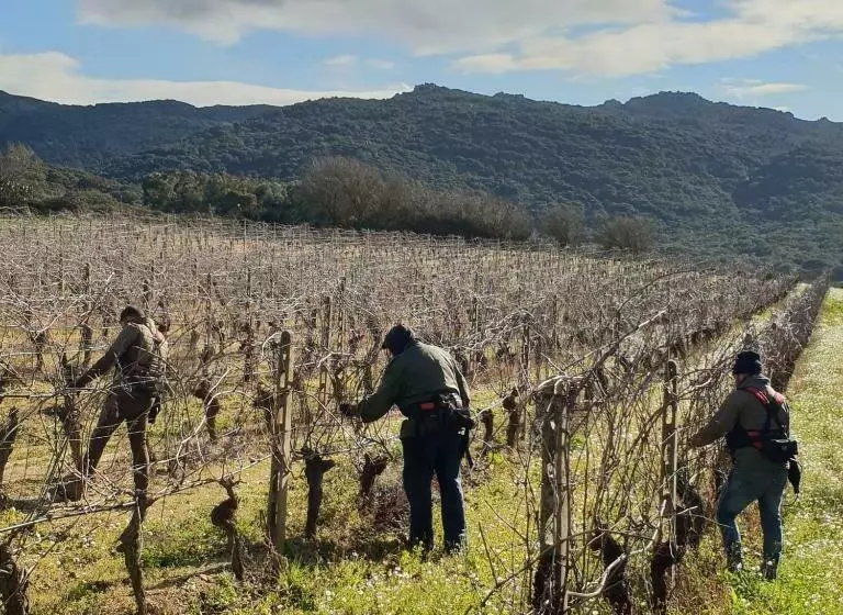 هتل Agriturismo Vermentino