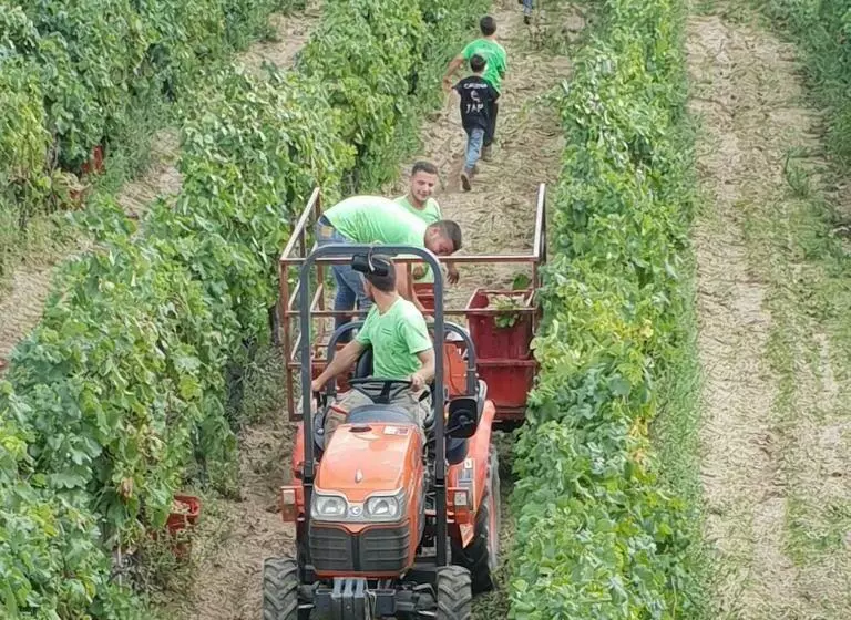هتل Agriturismo Vermentino