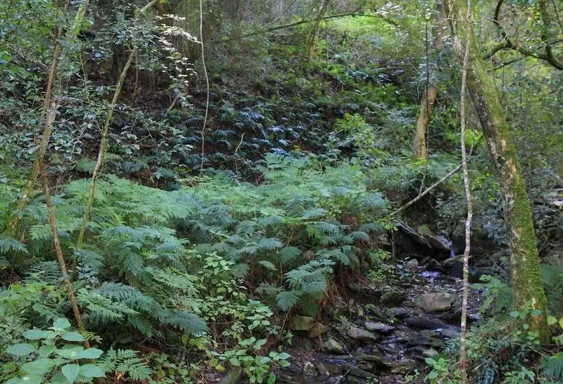 Отель Far Hills Country