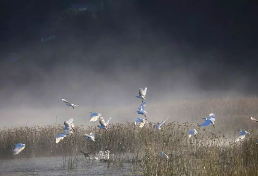 Отель Far Hills Country