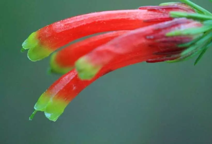 Отель Far Hills Country