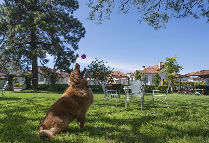 Hotel Gateway Coonoor