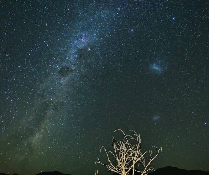 호텔 Sanbona Wildlife Reserve