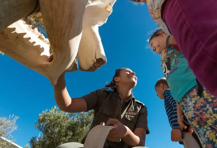 호텔 Sanbona Wildlife Reserve