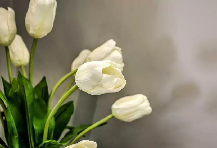 酒店 Town Lodge Waterfall, Midrand