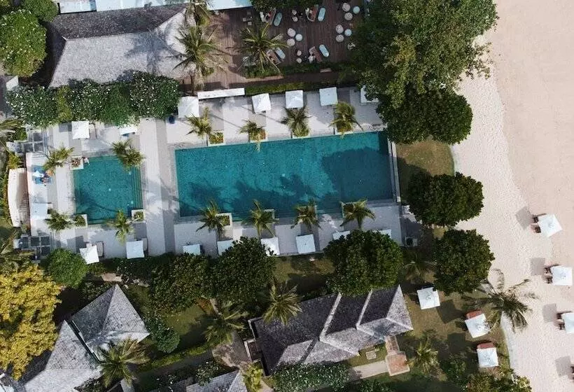 Layana Resort & Spa   Adult Only   Sha Extra Plus