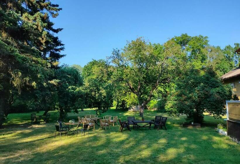 هتل Villa Katariina