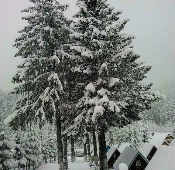 渡假胜地  Vila Bratocea